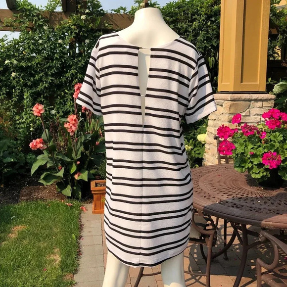 Press Dress Striped Short Sleeve V Neck Lined Mini Dress Black & White Sz S NWT - Picture 3 of 8